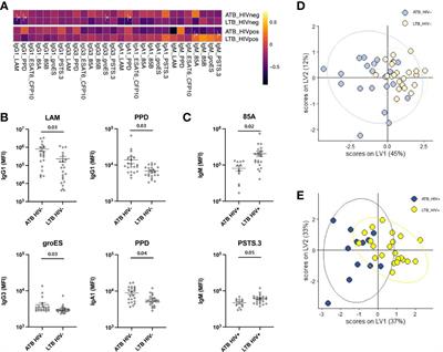 Defining Discriminatory Antibody Fingerprints in Active and Latent Tuberculosis